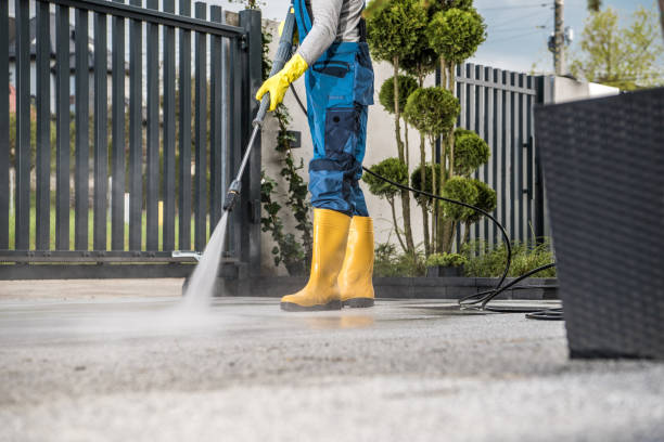 Best Sidewalk Pressure Washing  in Mascotte, FL