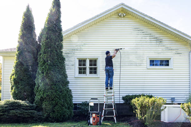 Best Fence Pressure Washing  in Mascotte, FL