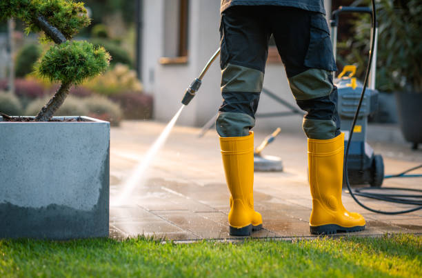 Best Deck Cleaning Services  in Mascotte, FL